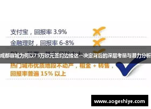 成都蓉城为何以75万欧元签约边锋这一决定背后的深层考量与潜力分析