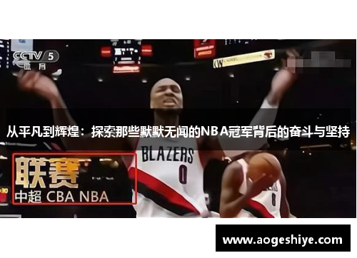 从平凡到辉煌：探索那些默默无闻的NBA冠军背后的奋斗与坚持
