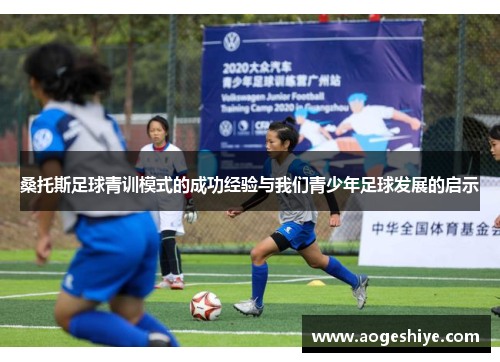 桑托斯足球青训模式的成功经验与我们青少年足球发展的启示