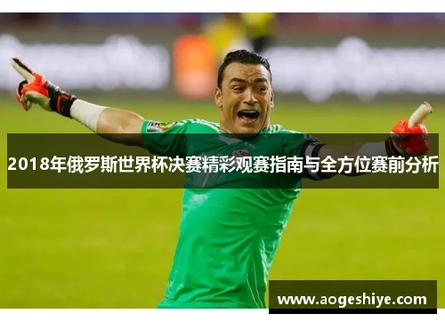 2018年俄罗斯世界杯决赛精彩观赛指南与全方位赛前分析