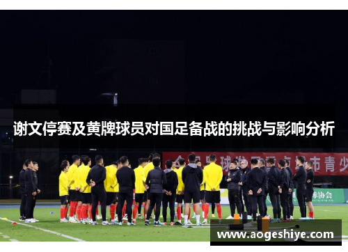 谢文停赛及黄牌球员对国足备战的挑战与影响分析